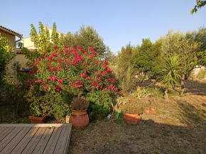 Maison près de la mer